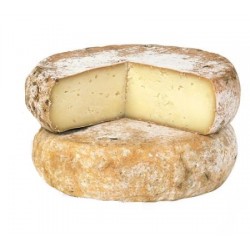 Toma Delicata