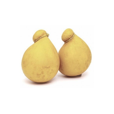 CACIOCAVALLO FORESTI