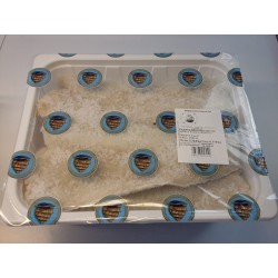FILETTO BROSMER 400/700 (CIRCA 5KG)