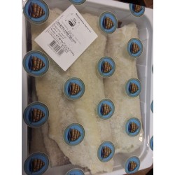 FILETTO LING 700/1000 (CIRCA 5KG)