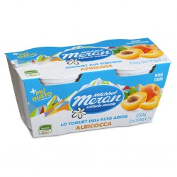 YOGURT MERANO 2X125GR ALBICOCCA