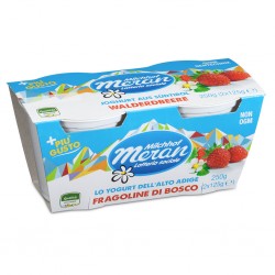 YOGURT MERANO 2X125GR FRAGOLA
