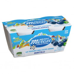 YOGURT MERANO 2X125GR MIRTILLO