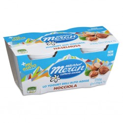 YOGURT MERANO 2X125GR NOCCIOLA